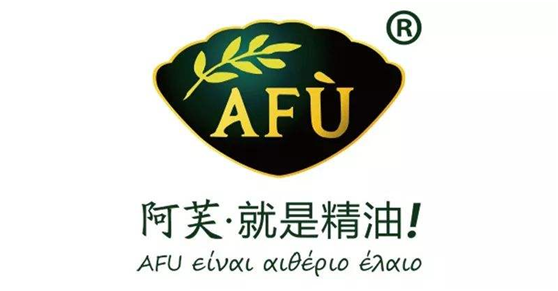 企業(yè)品牌設(shè)計(jì)